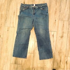 Lane Bryant Jeans